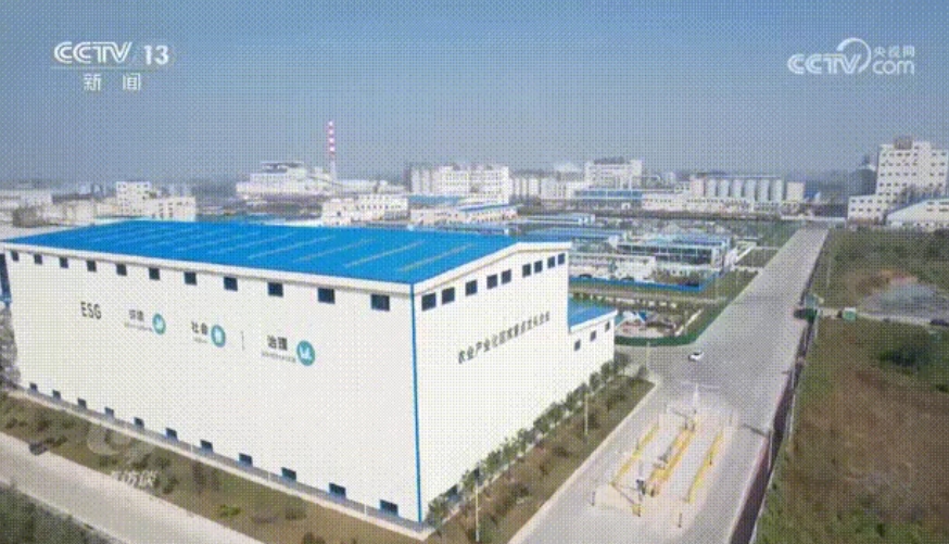 《焦點訪談》報道：益海嘉里周口產業(yè)園緊鄰“黃金水道”，做強“糧頭食尾”