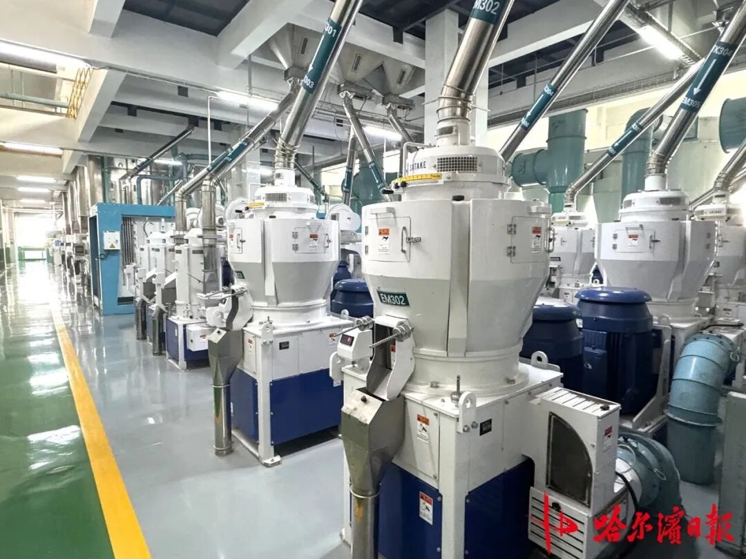 一粒方正大米，帶你體驗從稻谷到餐桌米飯的沉浸式“智造之旅”