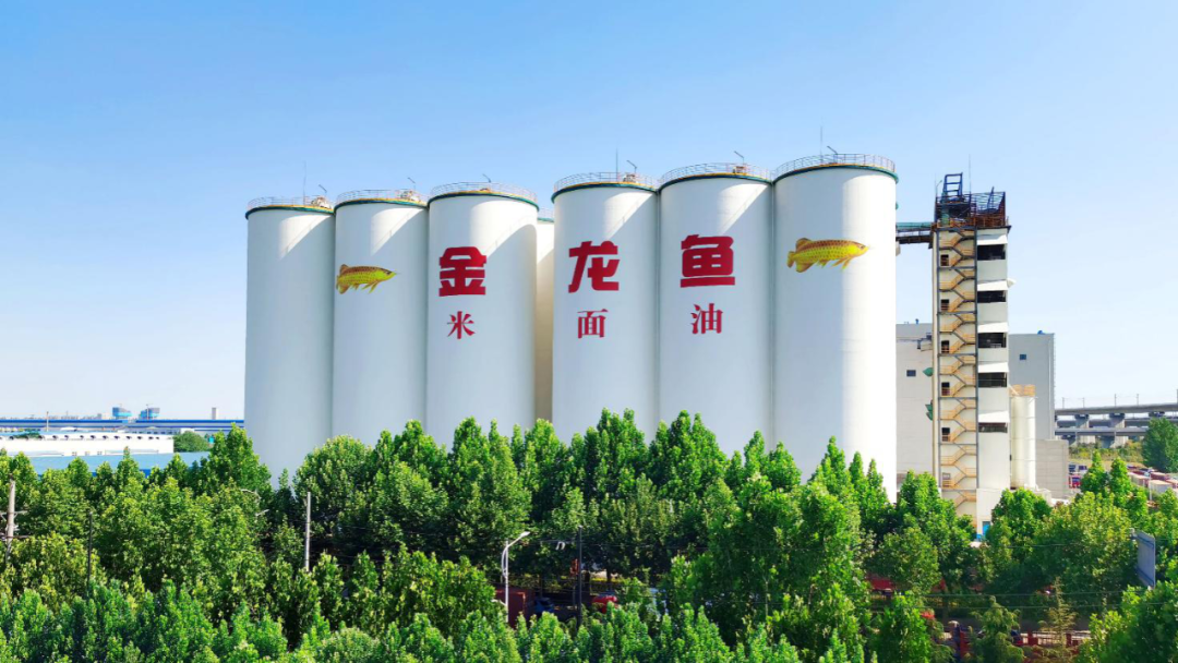 金龍魚上半年歸母凈利同比增長31% 控股股東連續(xù)四年自愿延長鎖定期
