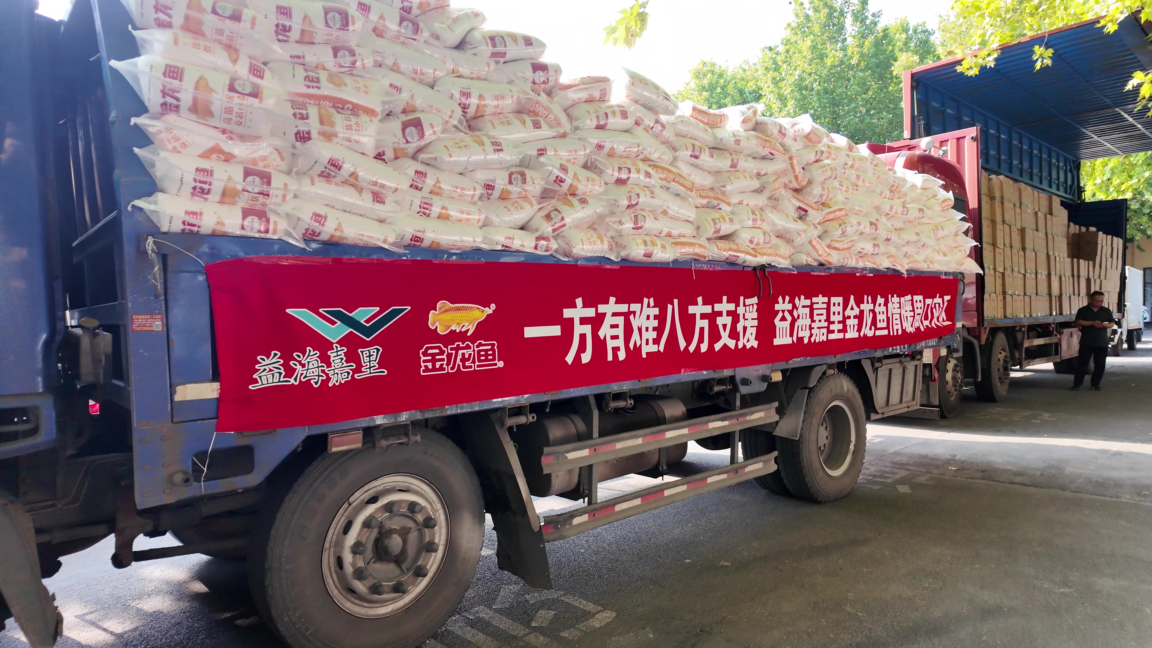 情系災區(qū)獻愛心，同心聚力抗汛情——益海嘉里金龍魚在行動